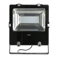 6100 100w led flood light