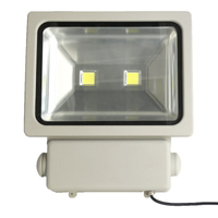 5100A 100w led flood light