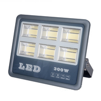 Shinder SDFL103 LED flood light