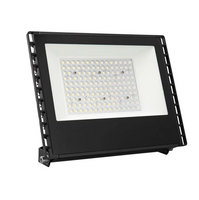 Shinder SDFL116 LED Flood Light 